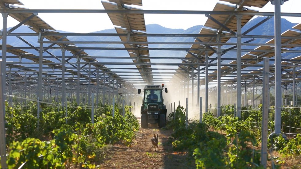 enquête agricoltaïsme